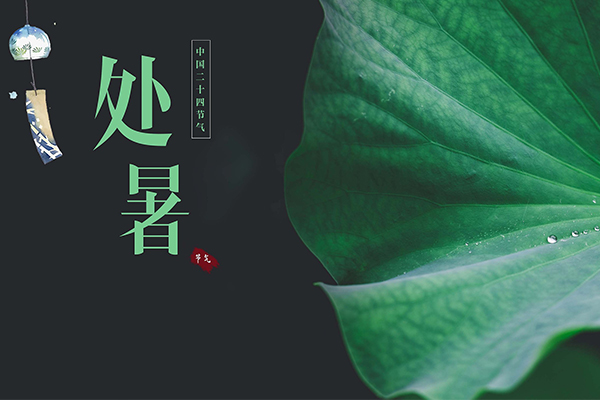 W | ÿһ|L(fng)ĉ